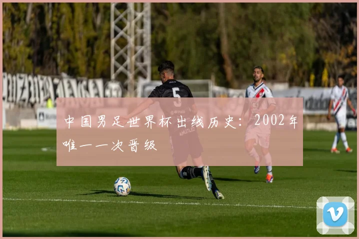 中国男足世界杯出线历史:2002年唯一一次晋级