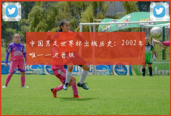 中国男足世界杯出线历史:2002年唯一一次晋级