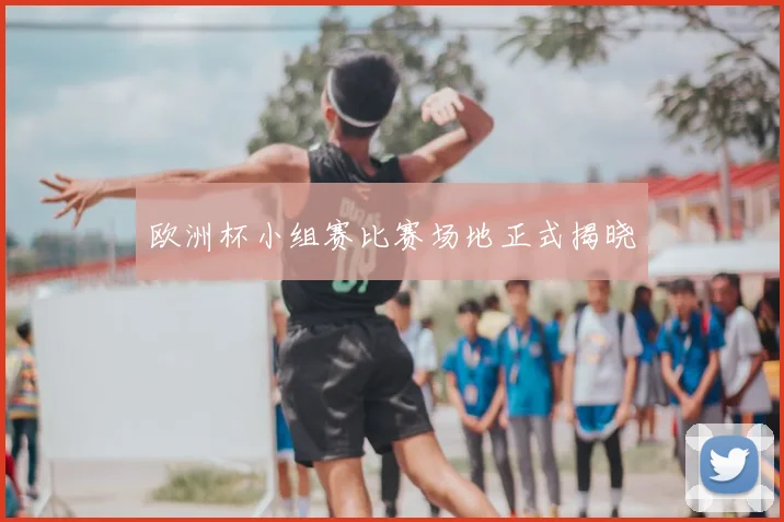 欧洲杯小组赛比赛场地正式揭晓